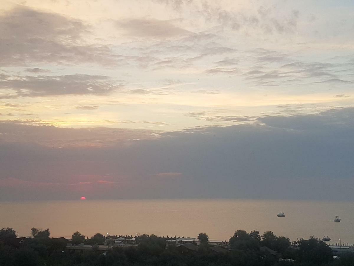 Summerhouse Mamaia